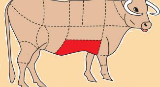 Картинка по теме - как разделать тушу