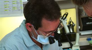 Картинка по теме - как получить медицинское образование