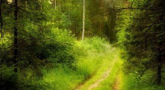 Картинка по теме - как найти дорогу