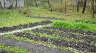 Картинка по теме - как оформить продажу земельного участка