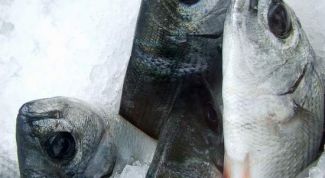 Картинка по теме - как определить свежесть рыбы