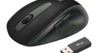 Картинка по теме - как запретить копирование