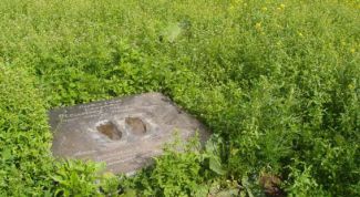 Картинка по теме - как быть в сети невидимым