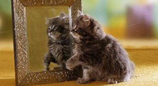 Картинка по теме - как отобразить зеркально