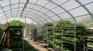 Картинка по теме - как отопить теплицу