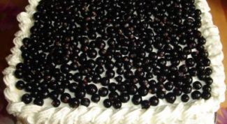 Картинка по теме - как готовить торт «снежная смородина»