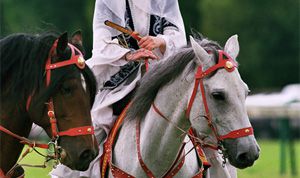 Картинка по теме - как отметить наурыз