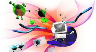 Картинка по теме - как обновить антивирусную базу