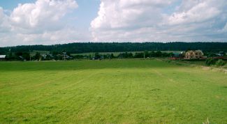 Картинка по теме - как оформить в собственность участок