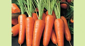 Картинка по теме - как приготовить морковь
