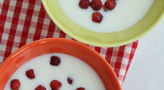 Картинка по теме - как готовить молочный суп с земляникой