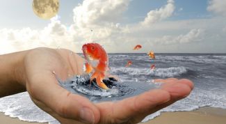 Картинка по теме - как получить желаемое