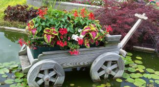 Картинка по теме - как обустроить сад