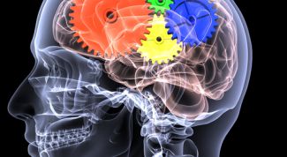 Картинка по теме - как использовать весь мозг