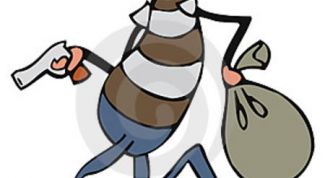 Картинка по теме - как написать заявление о краже