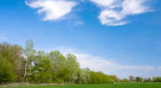 Картинка по теме - как оформить землю в наследство