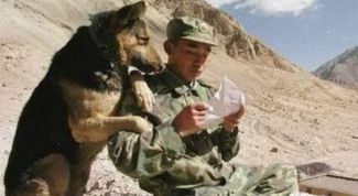 Картинка по теме - как написать письмо в армию другу