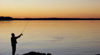 Картинка по теме - как изготовить снасть