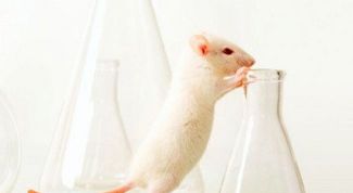 Картинка по теме - как сделать мышь