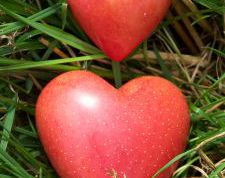 Картинка по теме - как определить, что влюблен