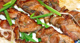 Картинка по теме - как приготовить шашлык в духовке