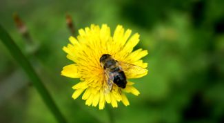 Картинка по теме - как найти дело