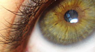 Картинка по теме - как подчеркнуть зеленые глаза