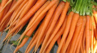 Картинка по теме - как посеять морковь