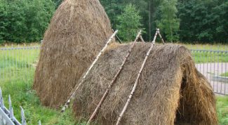 Картинка по теме - как построить шалаш