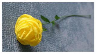 Картинка по теме - как сделать из бумаги розочку