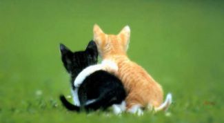 Картинка по теме - как избежать конфликта с друзьями