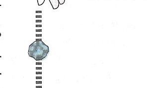 Картинка по теме - как найти силу тяжести