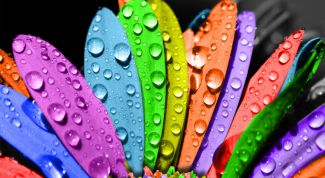 Картинка по теме - как сделать жизнь яркой