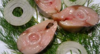 Картинка по теме - как посолить скумбрию