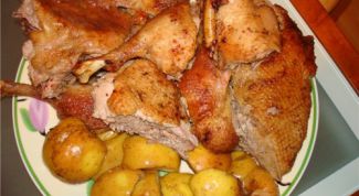 Картинка по теме - как приготовить дикую утку