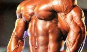 Картинка по теме - как накачать боковые мышцы