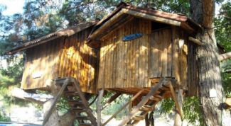 Картинка по теме - как построить домик на дереве