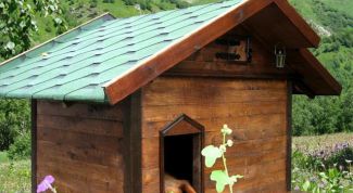 Картинка по теме - как построить будку собаке