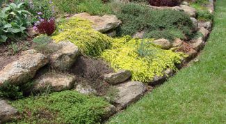 Картинка по теме - как построить альпийскую горку самому