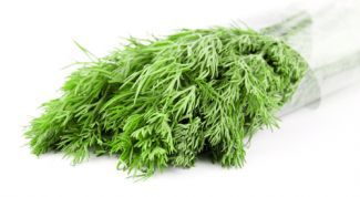 Картинка по теме - как приготовить укропную воду для младенца