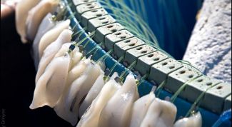 Картинка по теме - как сделать перемет