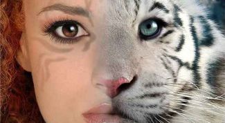 Картинка по теме - как сделать из двух фоток одну