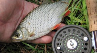 Картинка по теме - как ловить рыбу весной