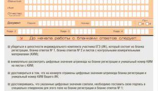 Картинка по теме - как заполнять бланки на егэ