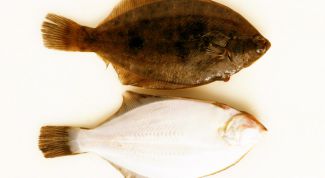 Картинка по теме - как почистить камбалу