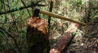 Картинка по теме - как рубить дрова