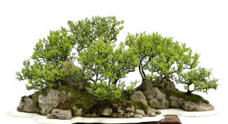 Картинка по теме - как сделать искусственные деревья