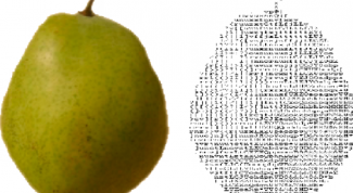 Картинка по теме - как получить файлы