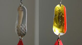 Картинка по теме - как ловить на блесну