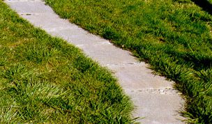 Картинка по теме - как сделать дорожки в саду